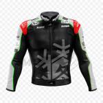 Jonathan Rea Jerez test Kawasaki Suit