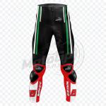 Pantalon en Cuir Personnalisé Tom Sykes Kawasaki